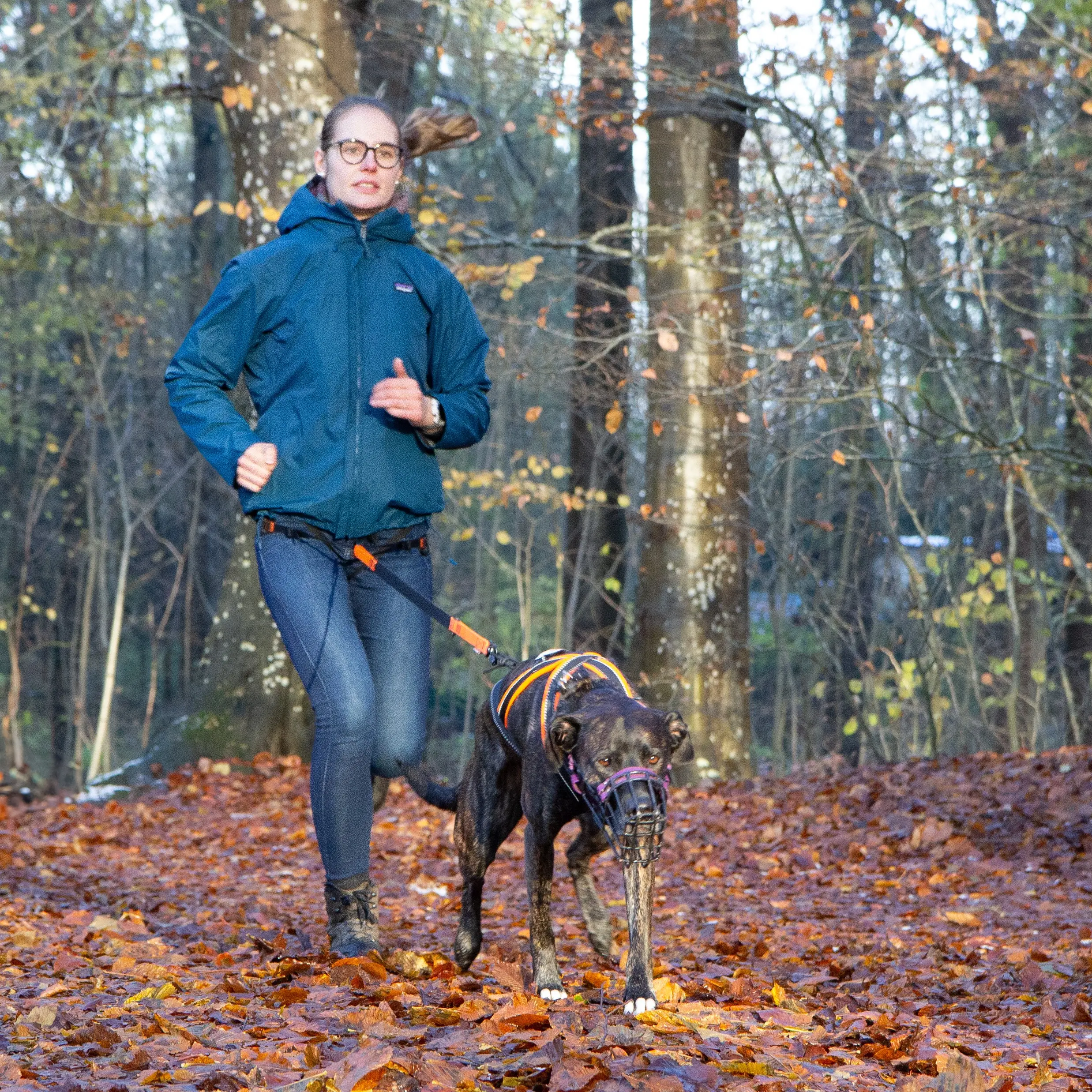 Frau betreibt Canicross mit ihrem Hund im herbstlichen Wald