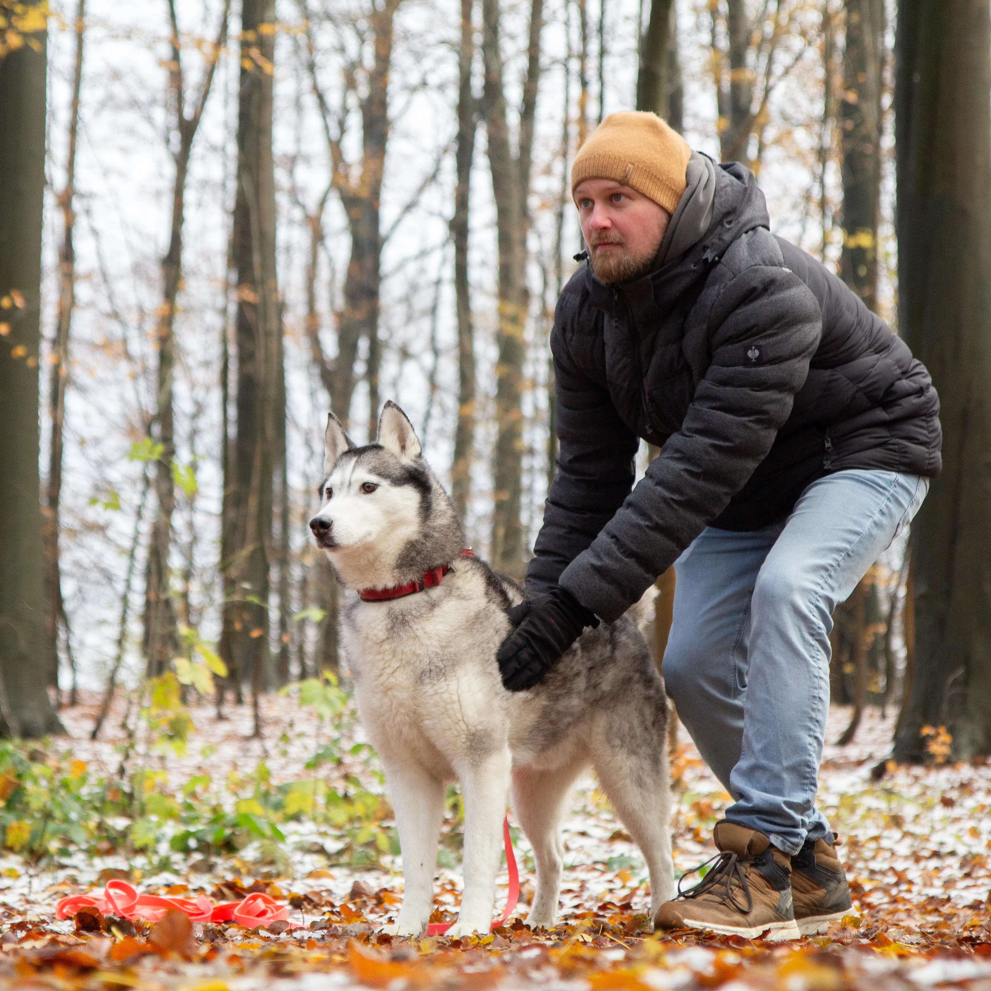 Ein Mann steht, seinen Husky mit beiden Händen berührend, in Läufer-Start-Position