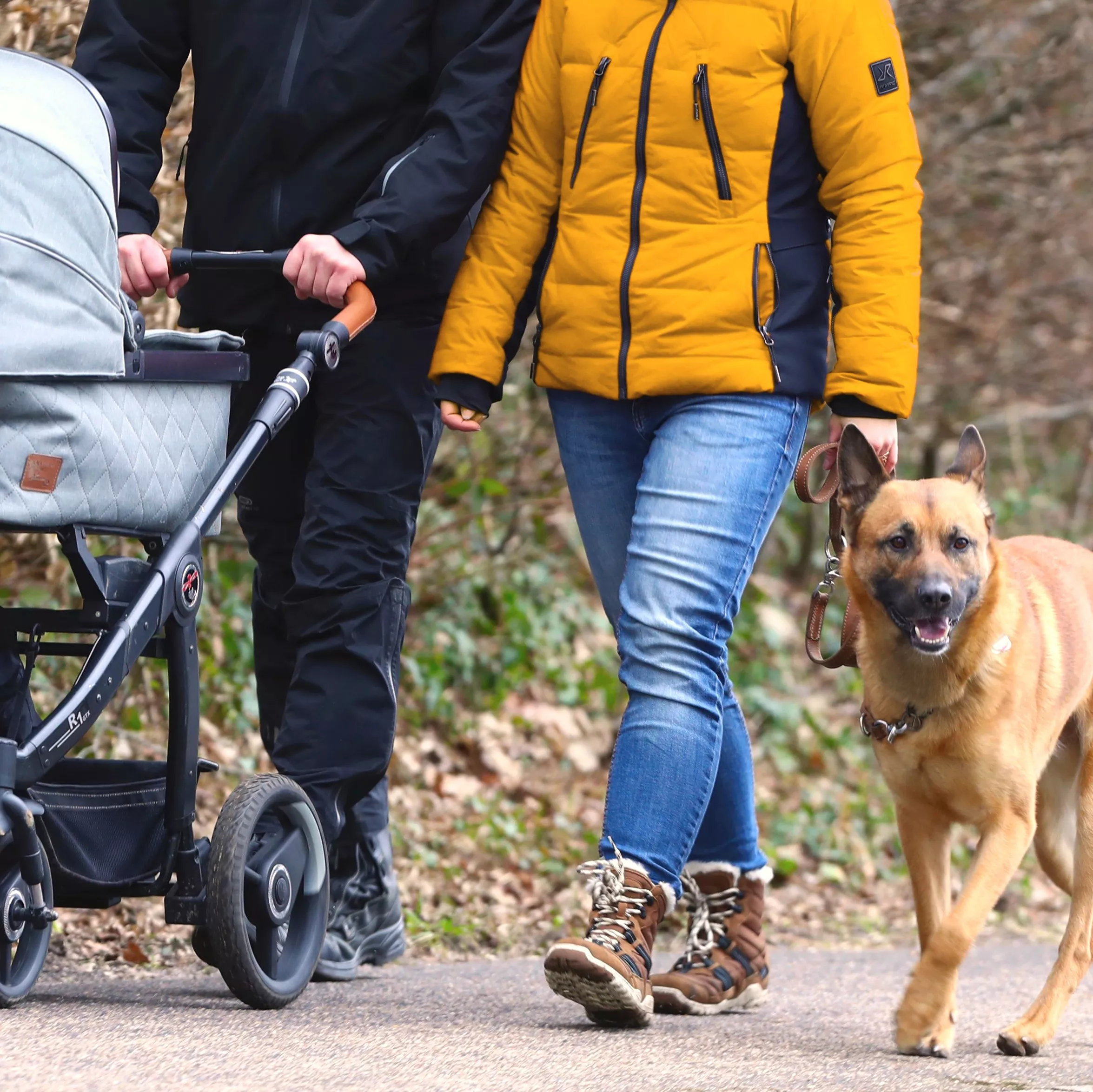 Zwei Menschen, deren Köpfe man nicht sieht, gehen mit einem Kinderwagen und einem Schäferhund an der Leine spazieren