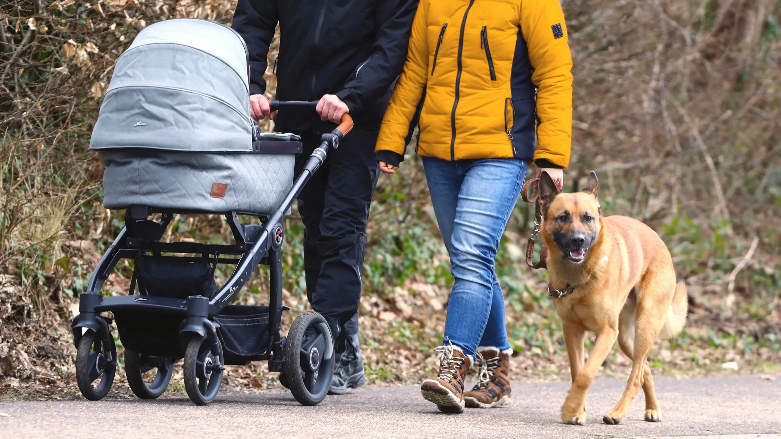 Zwei Menschen, deren Köpfe man nicht sieht, gehen mit einem Kinderwagen und einem Schäferhund an der Leine spazieren